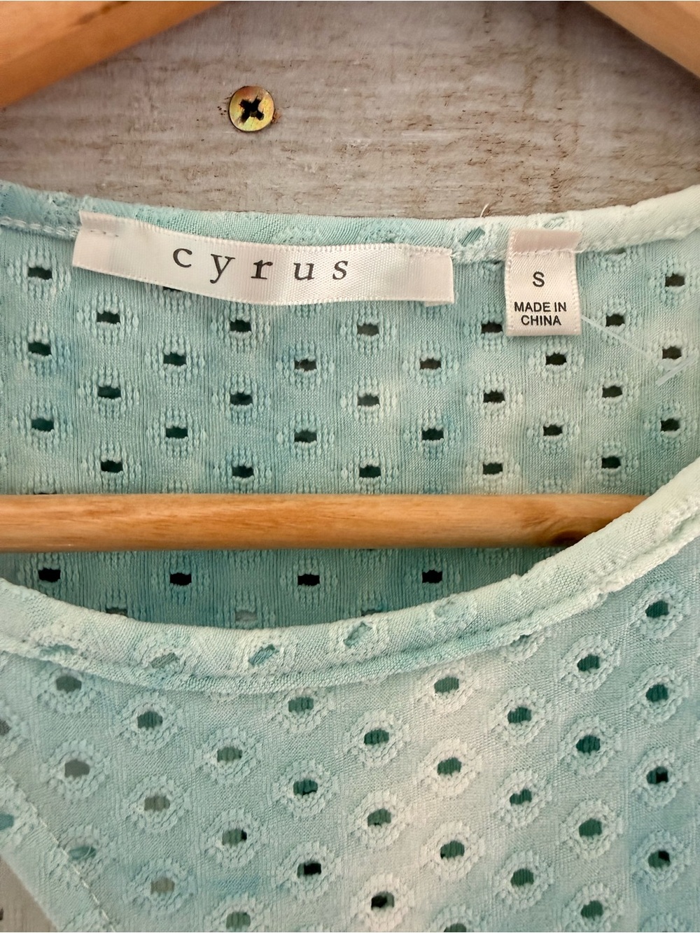 Cyrus Mint and Cream Eyelet Sleeveless Tank - Picture 4 of 5